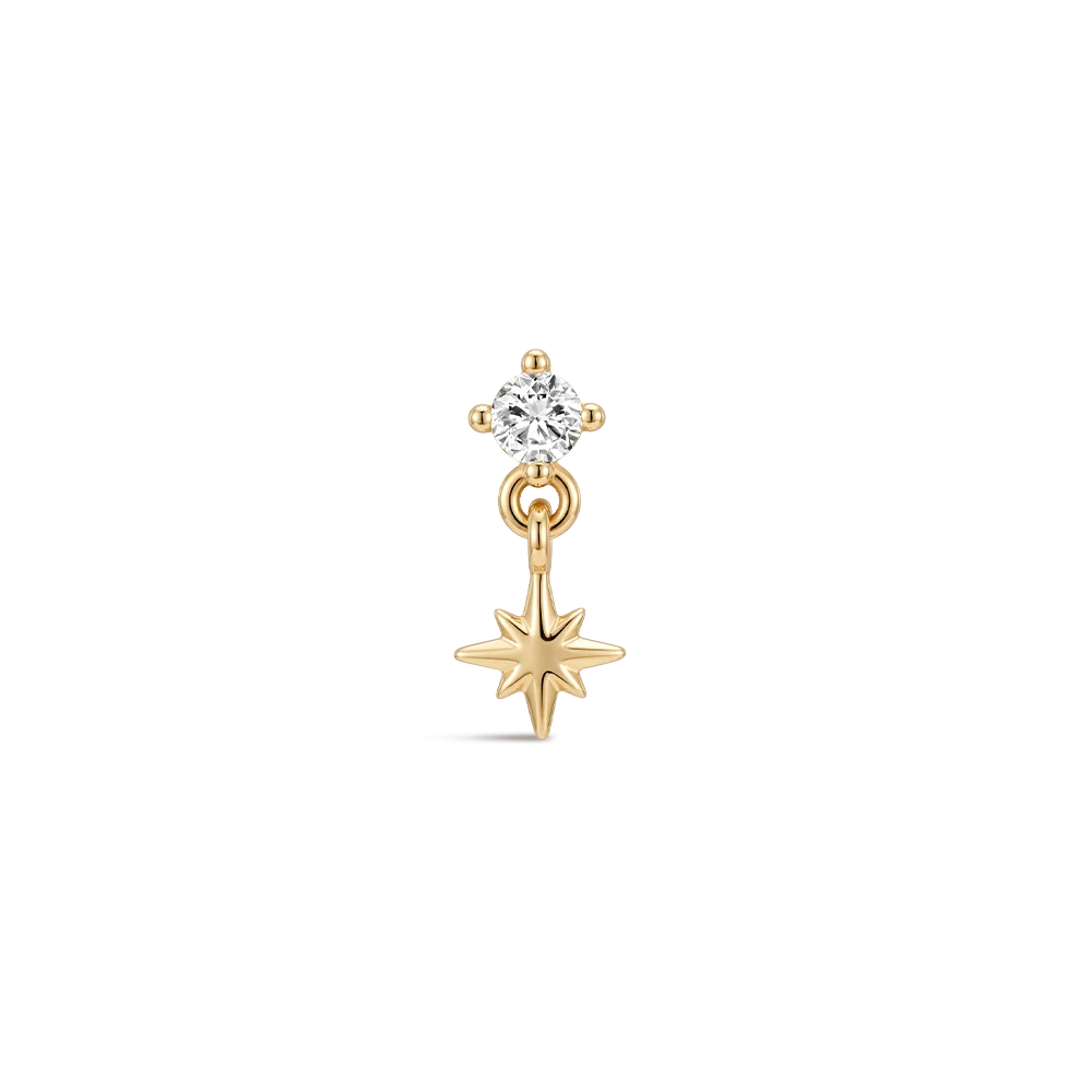 CANNER 14K Solid Gold G23 Titanium Star Heart Zircon Cartilage Tragus Helix Piercing Stud Earrings Hypoallergenic Jewelry Gift CANNER 14K Solid Gold G23 Titanium Star Heart Zircon Cartilage Tragus Helix Piercing Stud Earrings Hypoallergenic Jewelry Gift