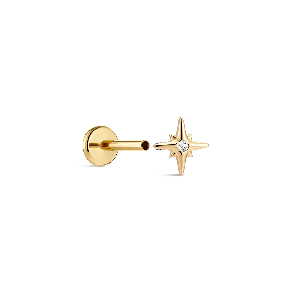 CANNER 14K Solid Gold G23 Titanium Star Heart Zircon Cartilage Tragus Helix Piercing Stud Earrings Hypoallergenic Jewelry Gift CANNER 14K Solid Gold G23 Titanium Star Heart Zircon Cartilage Tragus Helix Piercing Stud Earrings Hypoallergenic Jewelry Gift