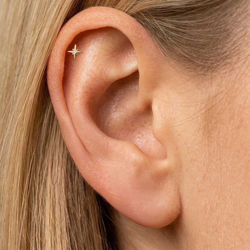 CANNER 14K Solid Gold G23 Titanium Star Heart Zircon Cartilage Tragus Helix Piercing Stud Earrings Hypoallergenic Jewelry Gift CANNER 14K Solid Gold G23 Titanium Star Heart Zircon Cartilage Tragus Helix Piercing Stud Earrings Hypoallergenic Jewelry Gift