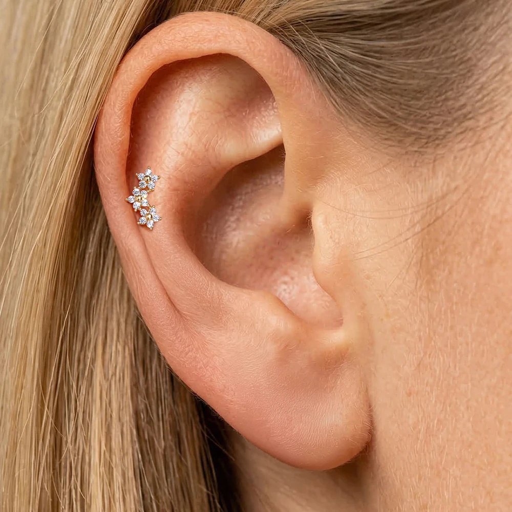 CANNER 14K Solid Gold G23 Titanium Star Heart Zircon Cartilage Tragus Helix Piercing Stud Earrings Hypoallergenic Jewelry Gift CANNER 14K Solid Gold G23 Titanium Star Heart Zircon Cartilage Tragus Helix Piercing Stud Earrings Hypoallergenic Jewelry Gift