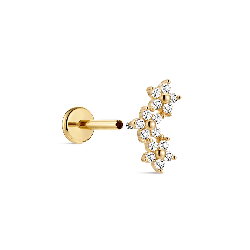 CANNER 14K Solid Gold G23 Titanium Star Heart Zircon Cartilage Tragus Helix Piercing Stud Earrings Hypoallergenic Jewelry Gift CANNER 14K Solid Gold G23 Titanium Star Heart Zircon Cartilage Tragus Helix Piercing Stud Earrings Hypoallergenic Jewelry Gift