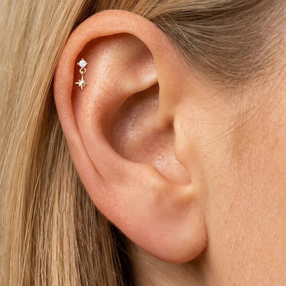 CANNER 14K Solid Gold G23 Titanium Star Heart Zircon Cartilage Tragus Helix Piercing Stud Earrings Hypoallergenic Jewelry Gift CANNER 14K Solid Gold G23 Titanium Star Heart Zircon Cartilage Tragus Helix Piercing Stud Earrings Hypoallergenic Jewelry Gift